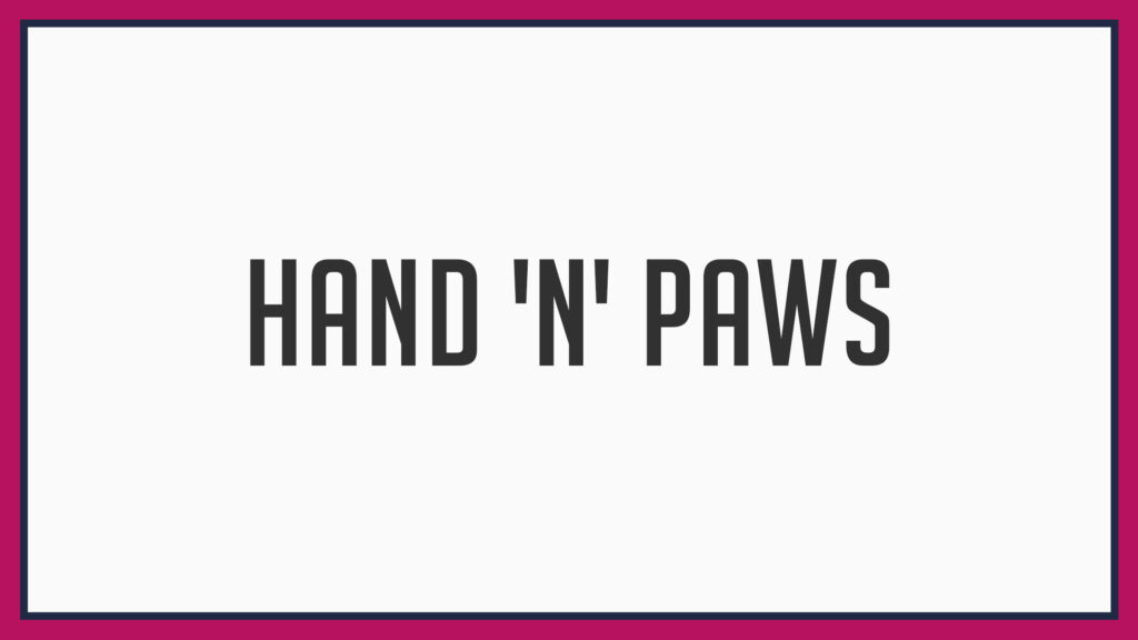 hand-n-paws-veterinary-clinic-pet-centre-logo