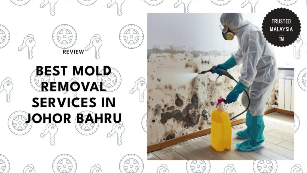 best-mold-removal-johor-bahru