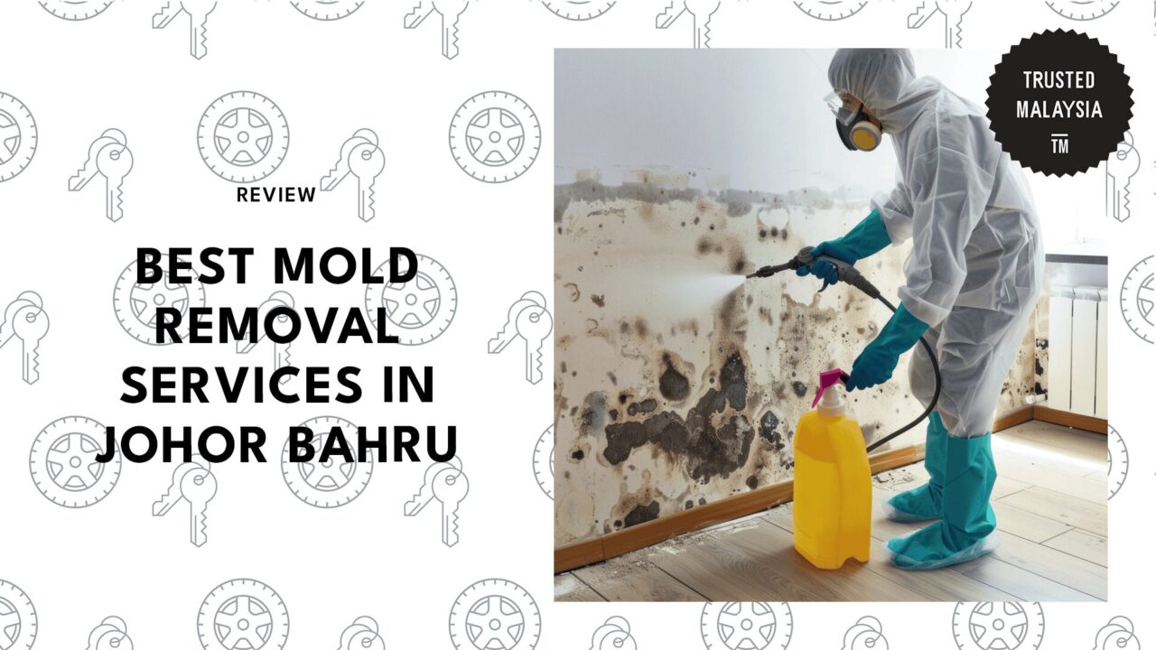 best-mold-removal-johor-bahru